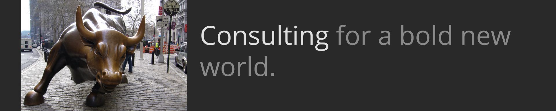 HeaderImage_consulting_new_world